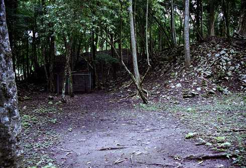 fb001134.jpg