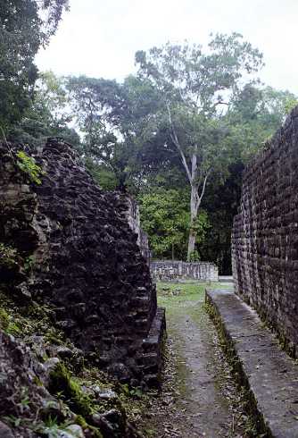 fb001154.jpg
