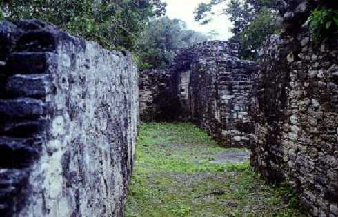 fb001161.jpg