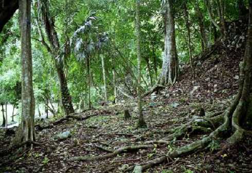 fb001170.jpg