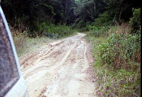 fb001192.jpg