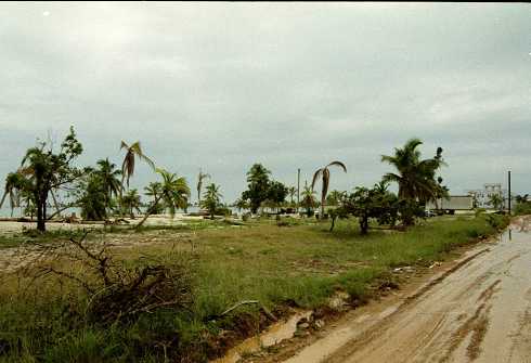 fc000020.jpg
