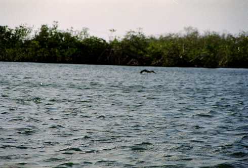 fc000025.jpg