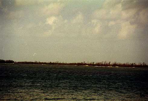 fc000026.jpg