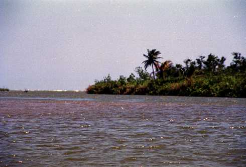 fc000066.jpg