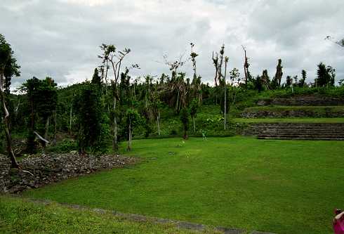 fc000101.jpg