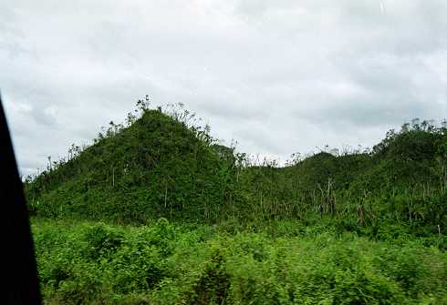 fc000139.jpg