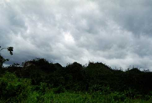 fc000141.jpg
