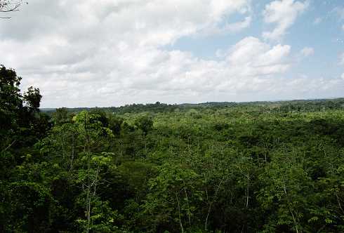fc000202.jpg