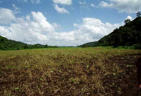 fc000299.jpg