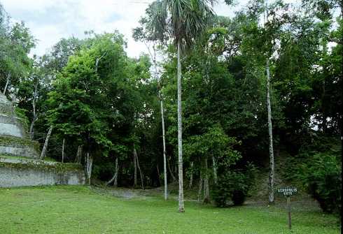 fc000508.jpg