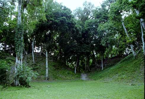 fc000509.jpg