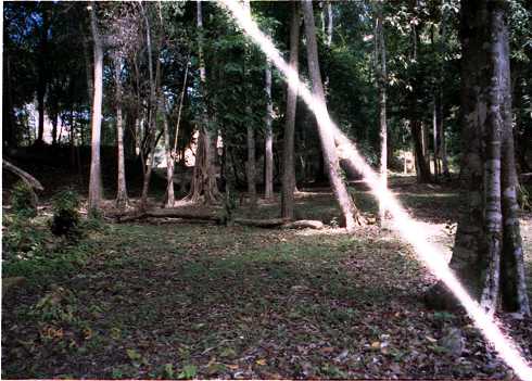 fd000009.jpg