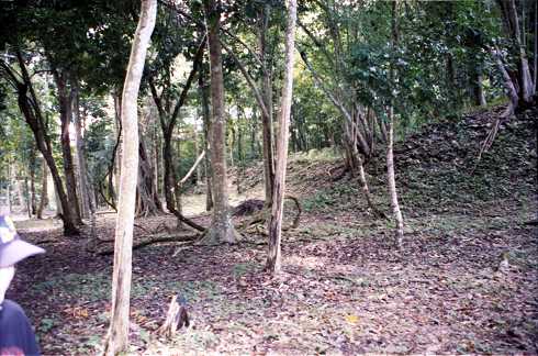 fd000035.jpg