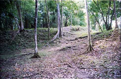 fd000036.jpg