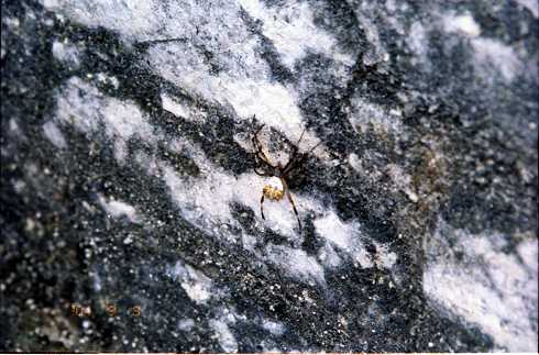 fd000103.jpg