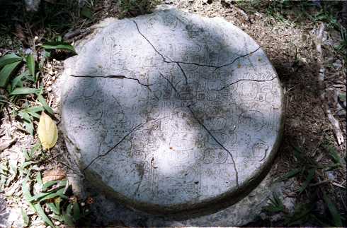 fd000110.jpg