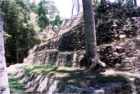 fd000115.jpg