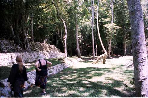 fd000116.jpg