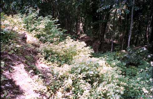 fd000166.jpg
