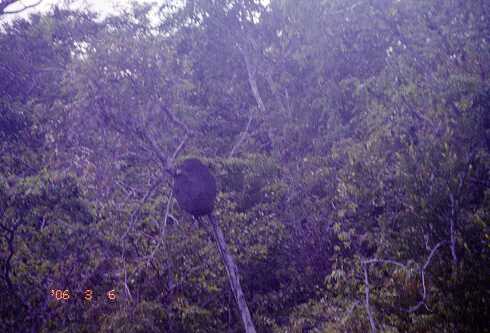 ff000014.jpg