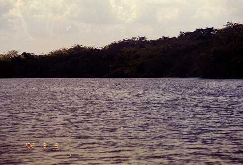 ff000015.jpg