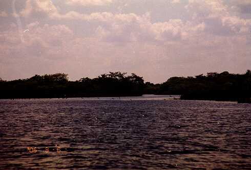 ff000016.jpg