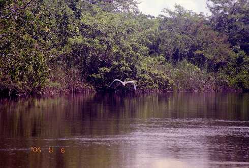 ff000020.jpg