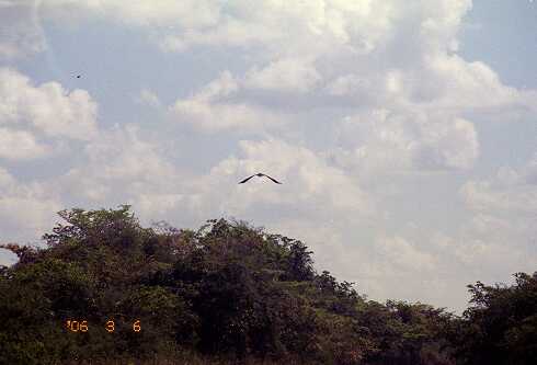 ff000021.jpg