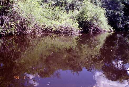 ff000027.jpg