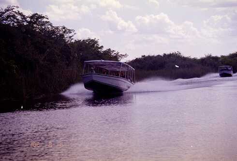 ff000034.jpg