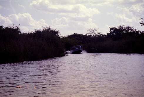 ff000035.jpg
