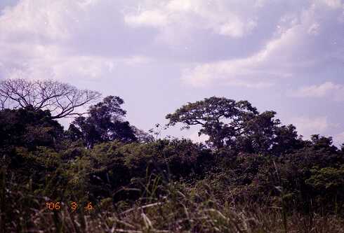 ff000041.jpg