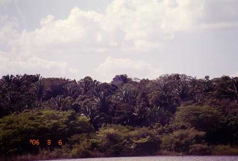 ff000043.jpg