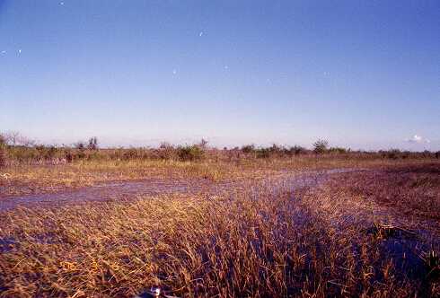 ff000060.jpg