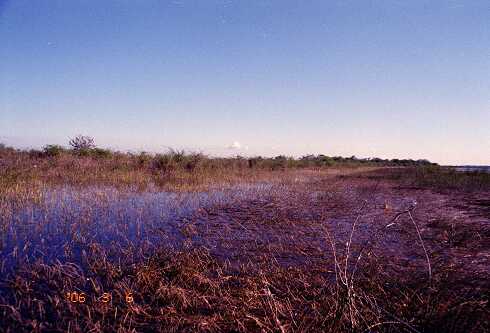 ff000061.jpg