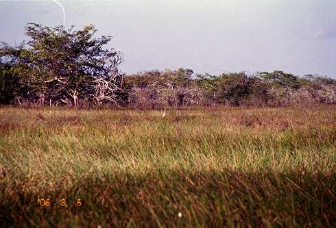 ff000075.jpg