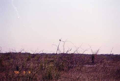 ff000085.jpg