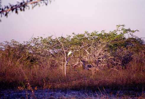ff000086.jpg