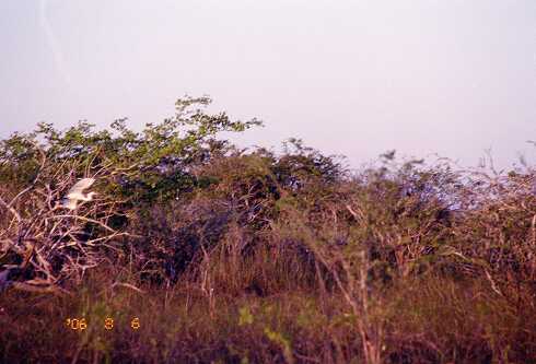 ff000087.jpg