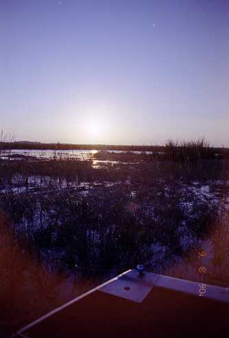 ff000088.jpg