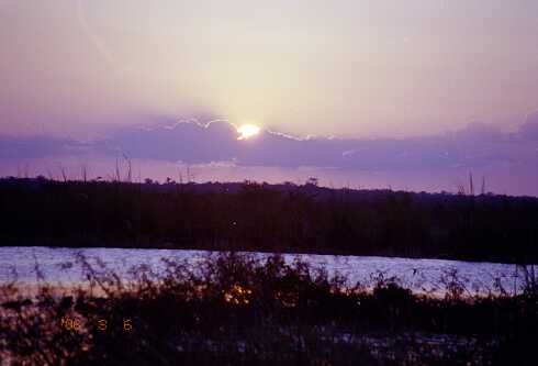 ff000090.jpg