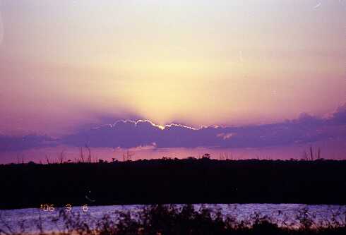 ff000091.jpg