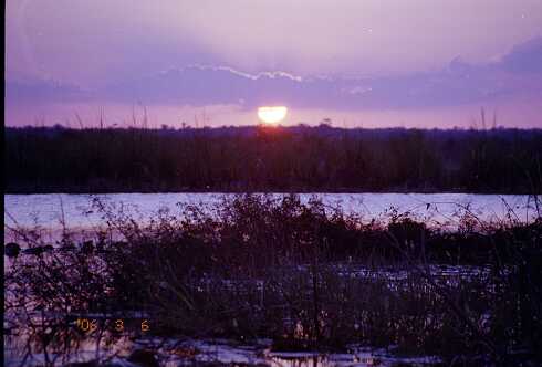 ff000093.jpg