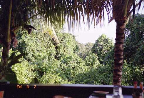 ff000098.jpg