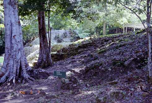 ff000102.jpg