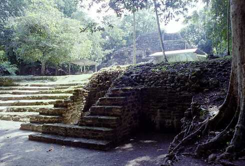 ff000104.jpg