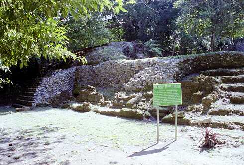 ff000105.jpg