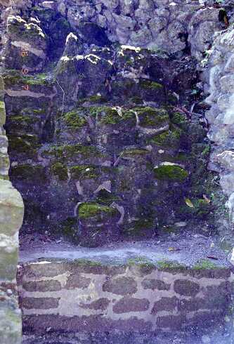 ff000106.jpg