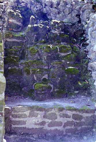 ff000107.jpg